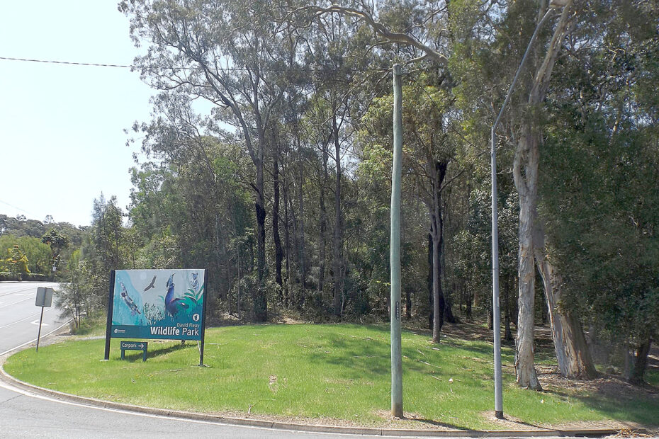 David Fleay Wildlife Park